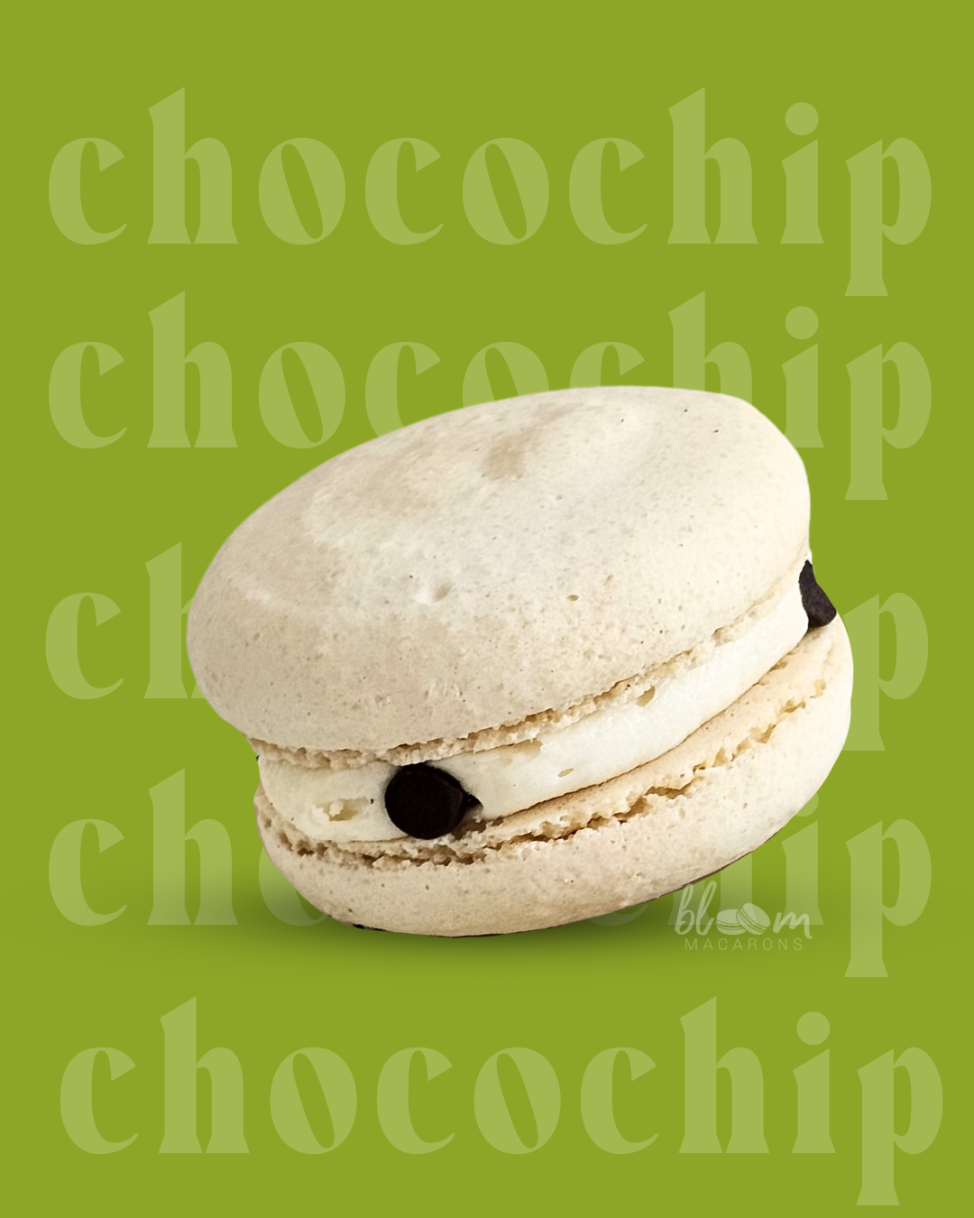 Chocolate Chip